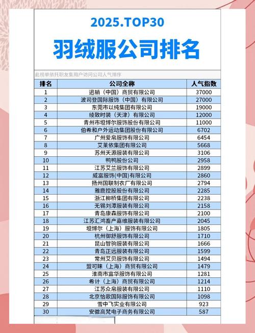 十大羽绒服品牌，哪个才是真正保暖王者？-图2