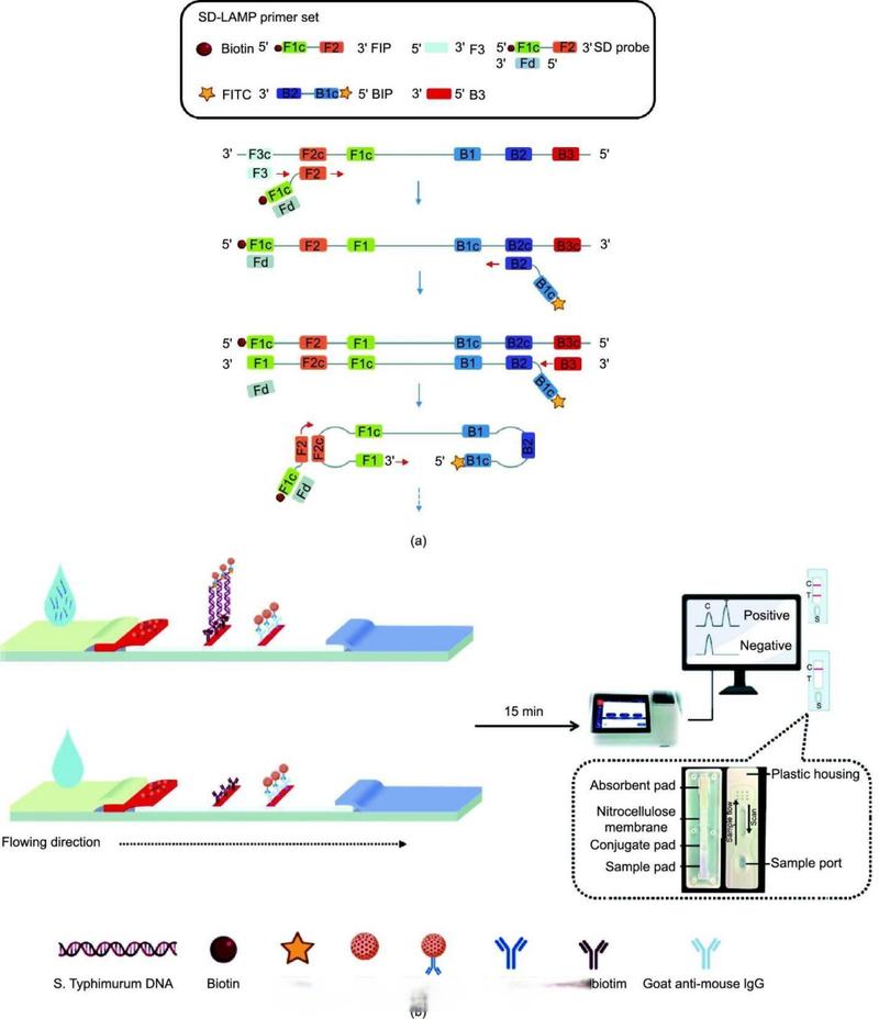 ChemBioOffice教程怎么学？新手入门指南看这里！-图3