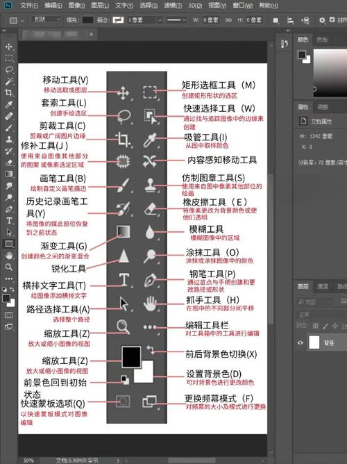 Photoshop 8.0视频教程哪里找？-图1
